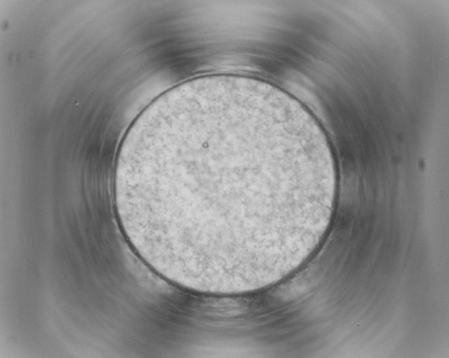 X0000088741338200706141653