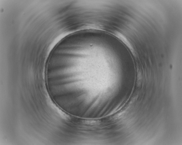 X0000088741339200706141653