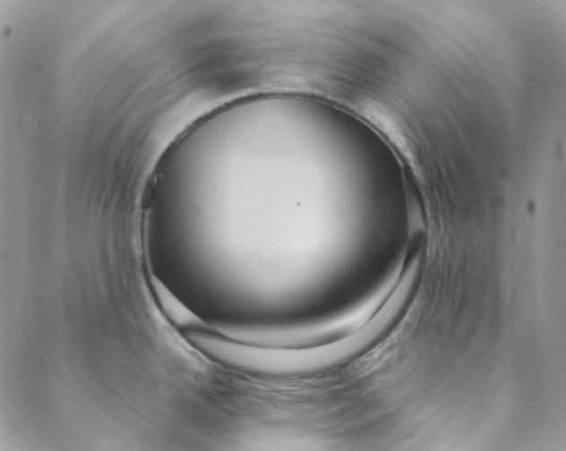 X0000088741342200706141654