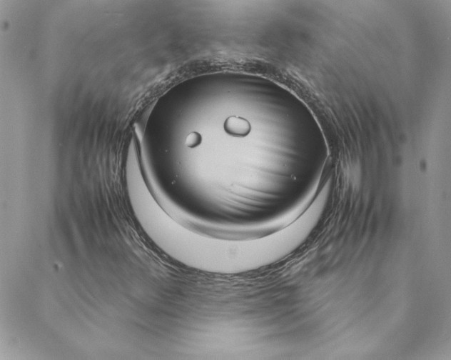 X0000088741348200706141653