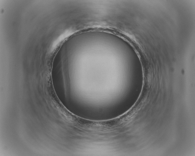 X0000088741359200706141653