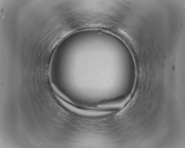 X0000088741361200706141652