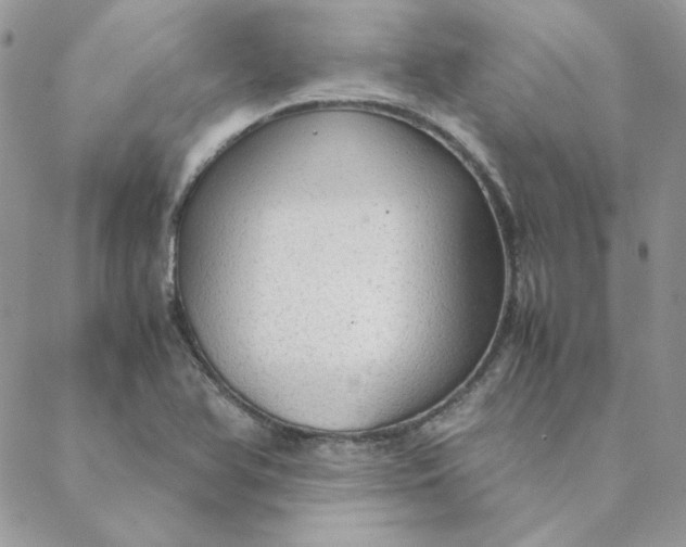X0000088741366200706141652