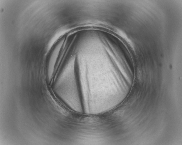 X0000088741368200706141652