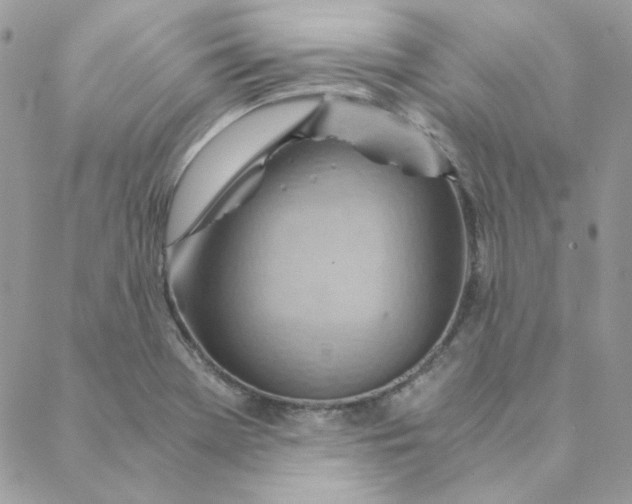 X0000088741369200706141652