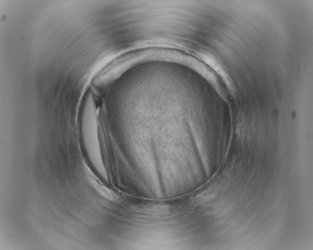 X0000088741372200706141652