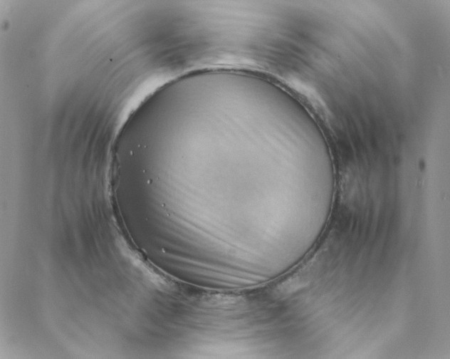 X0000088741374200706141652