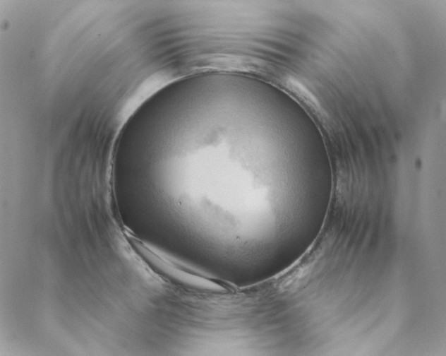 X0000088741378200706141652