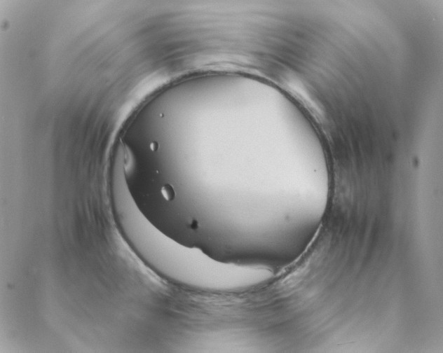 X0000088741384200706141652