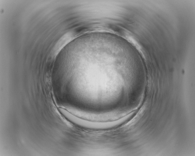 X0000088741385200706141652