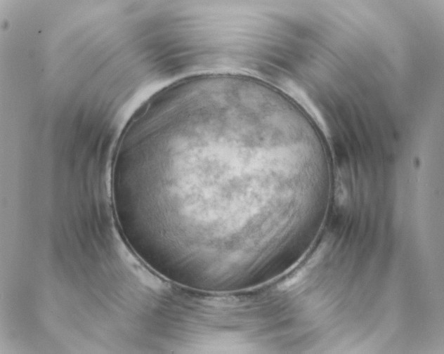 X0000088741388200706141652