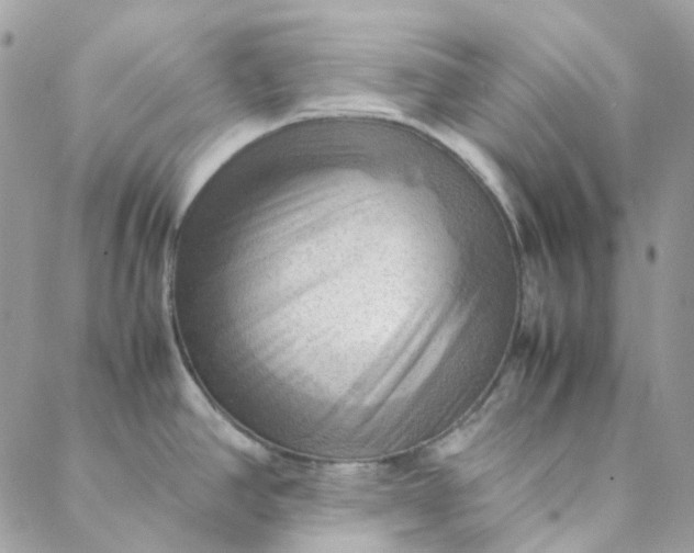 X0000088741390200706141652