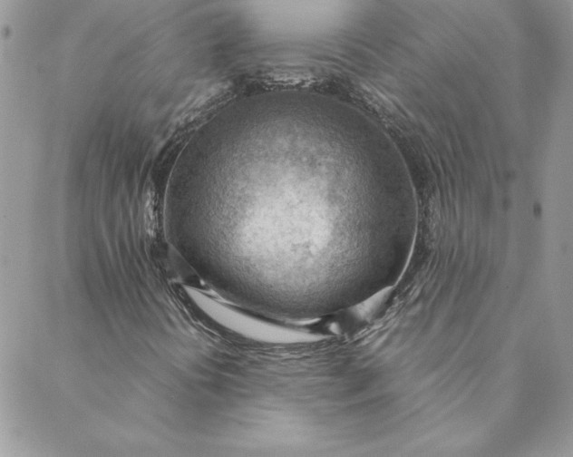 X0000088741394200706141651