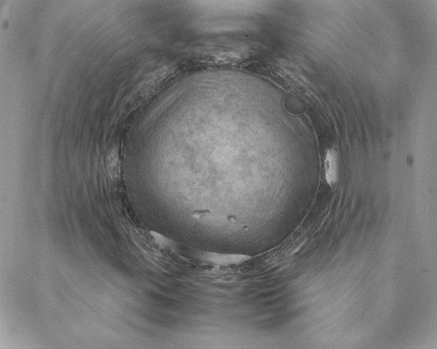 X0000088741395200706141651