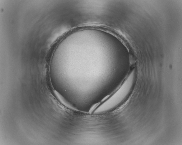 X0000088741406200706141651