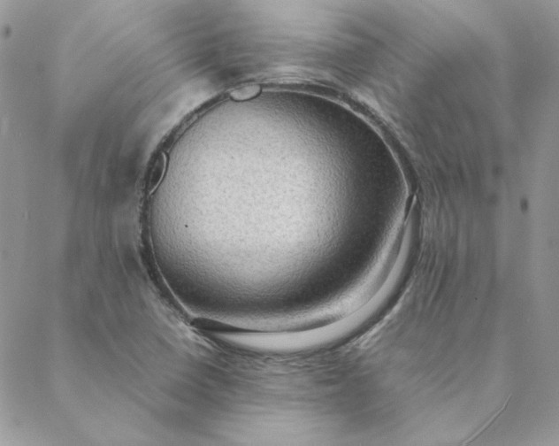 X0000088741410200706141651