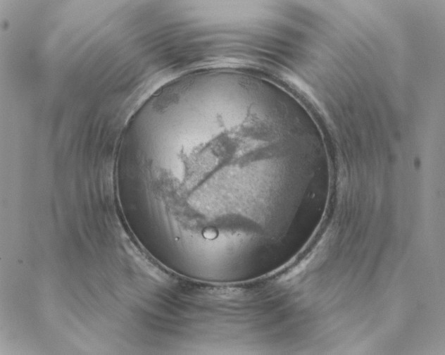 X0000088741417200706141652