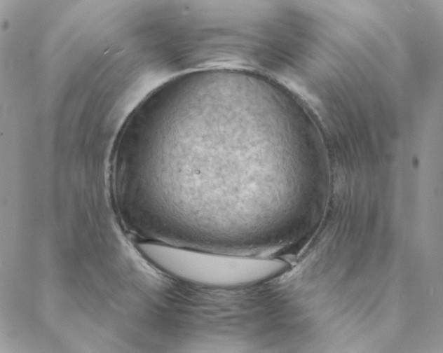 X0000088741423200706141652