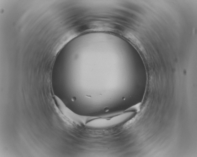 X0000088741425200706141652