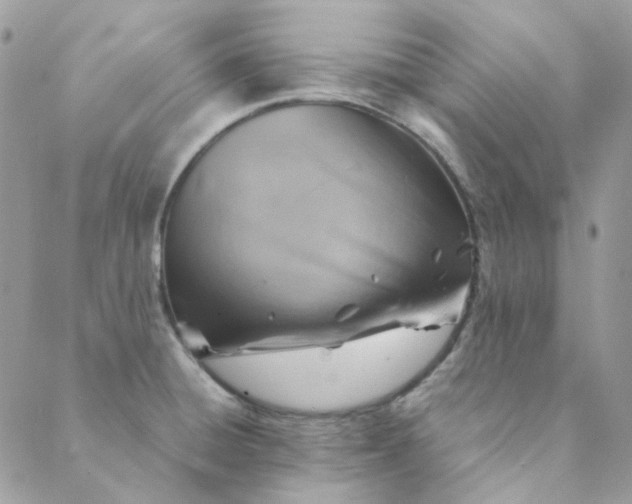 X0000088741428200706141652