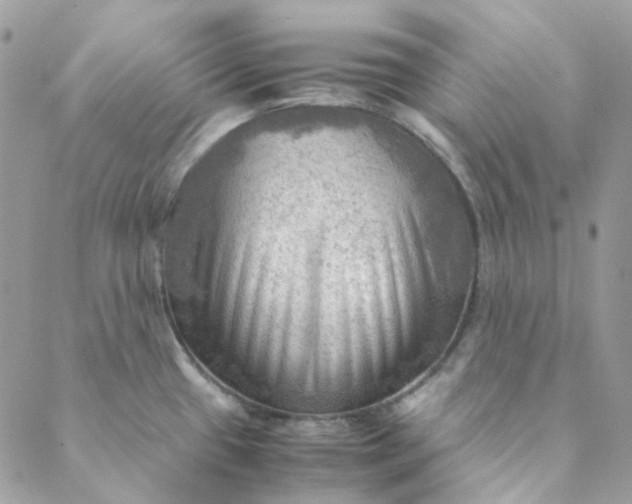 X0000088741433200706141652