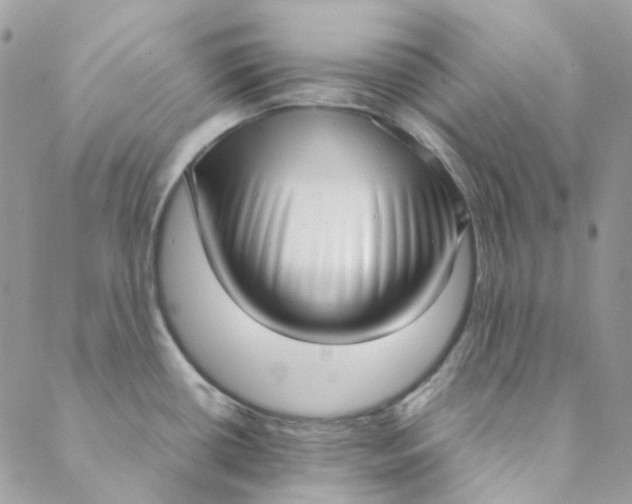 X0000088741434200706141652
