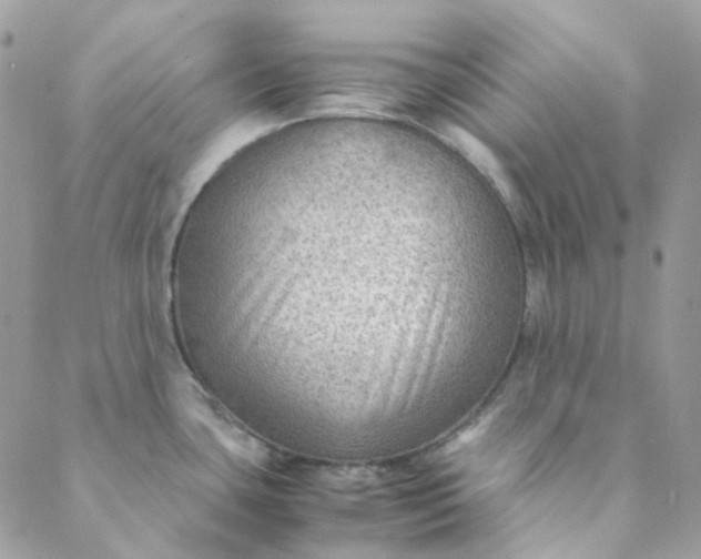 X0000088741435200706141652