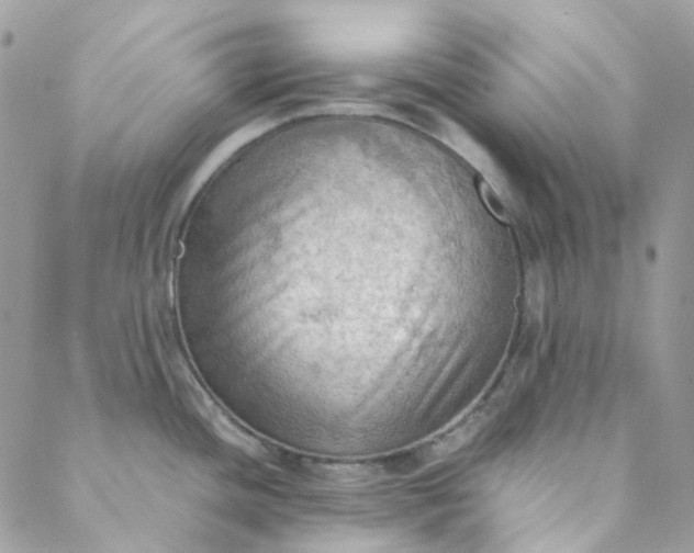 X0000088741436200706141652