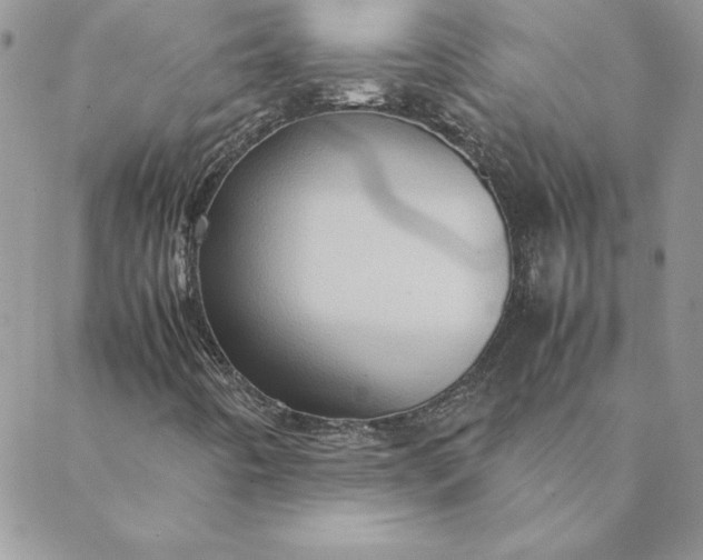 X0000088741442200706141651