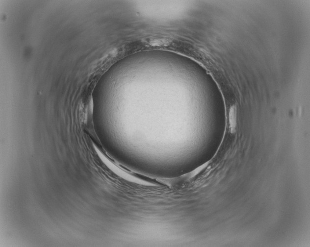 X0000088741443200706141651