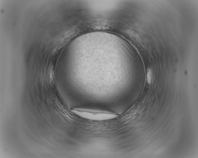 X0000088741444200706141651