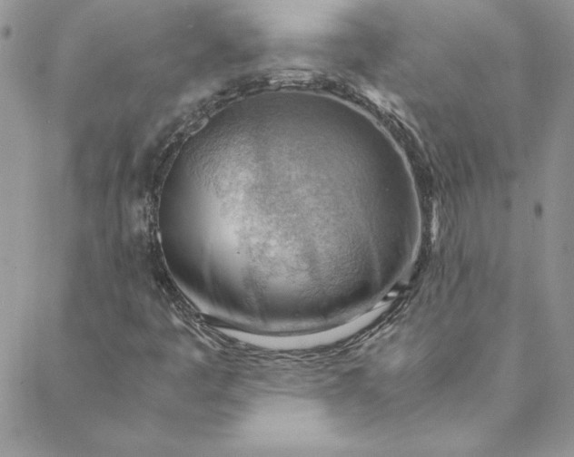 X0000088741445200706141651