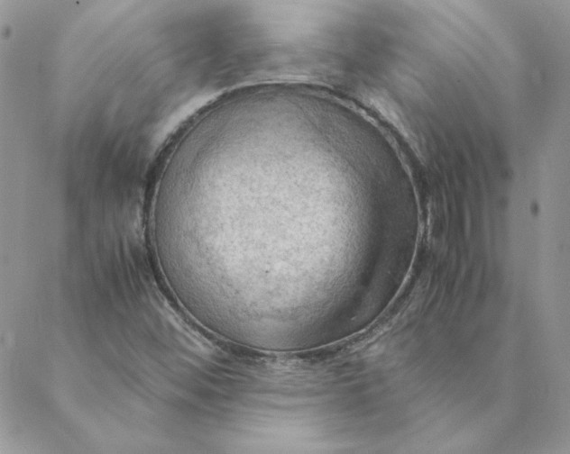 X0000088741452200706141651