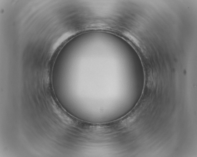 X0000088741458200706141651