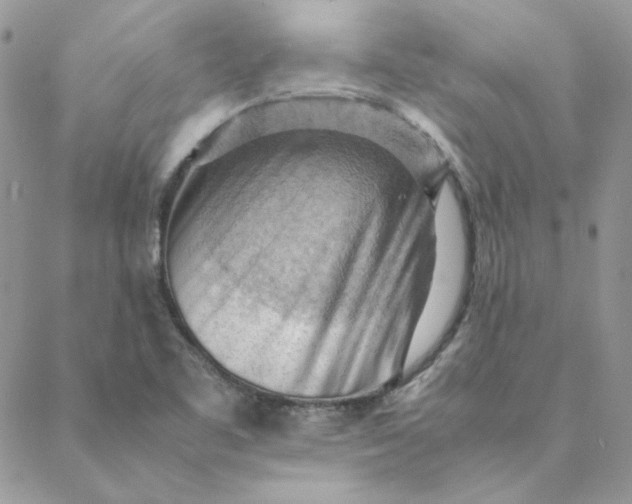 X0000088741461200706141651