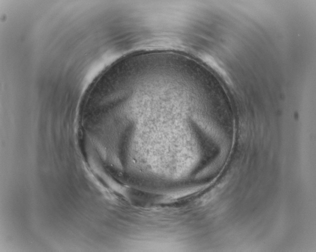X0000088741469200706141651