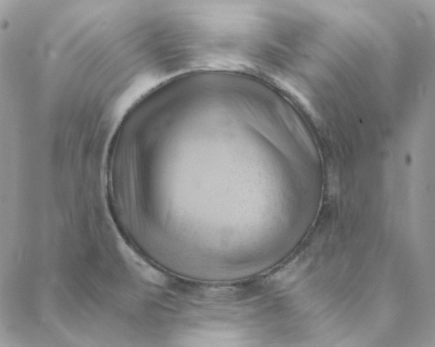 X0000088741471200706141651