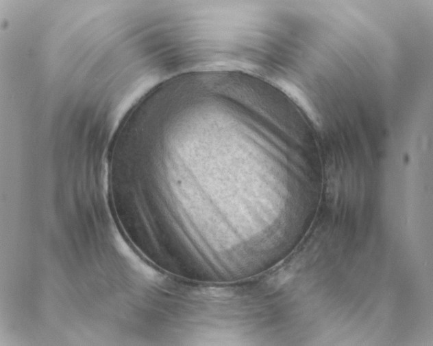 X0000088741476200706141651