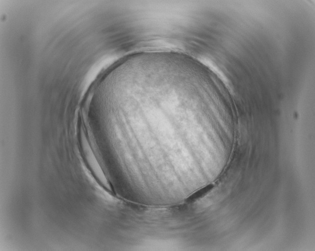 X0000088741477200706141651