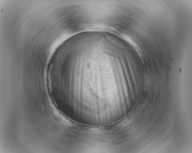 X0000088741480200706141651