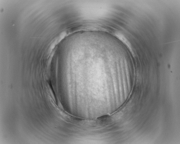 X0000088741481200706141651