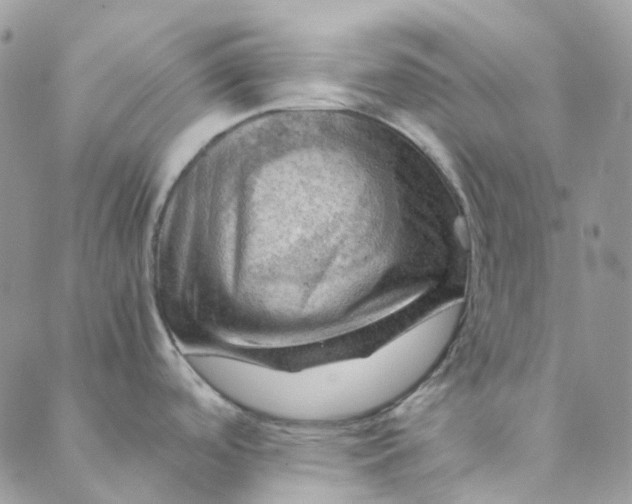 X0000088741488200706141650