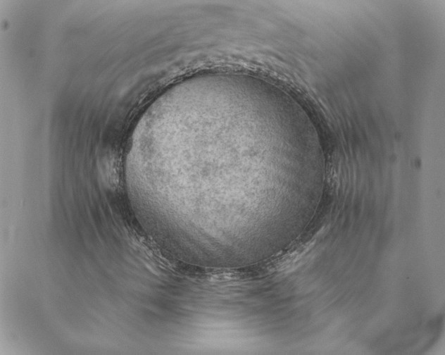 X0000088741490200706141650