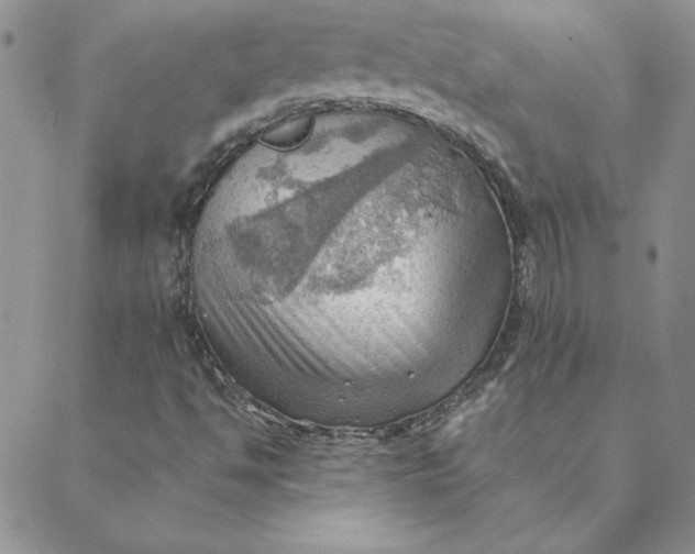 X0000088741494200706141650