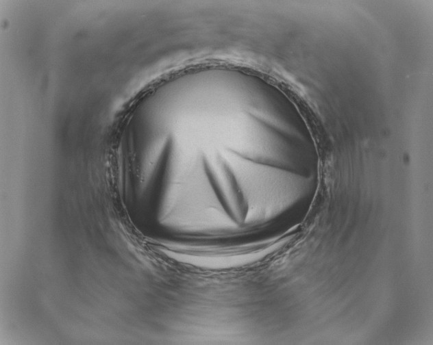 X0000088741496200706141650