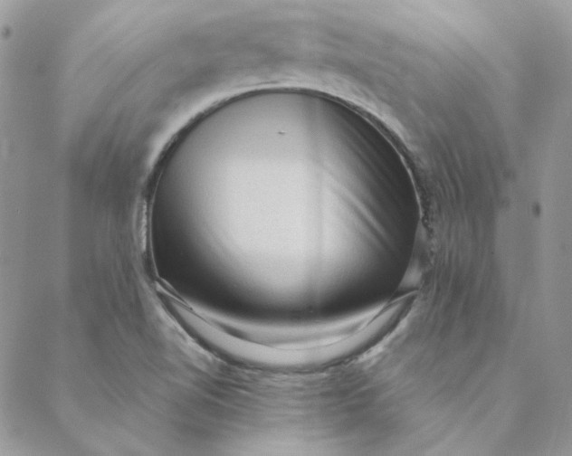 X0000088741510200706141650