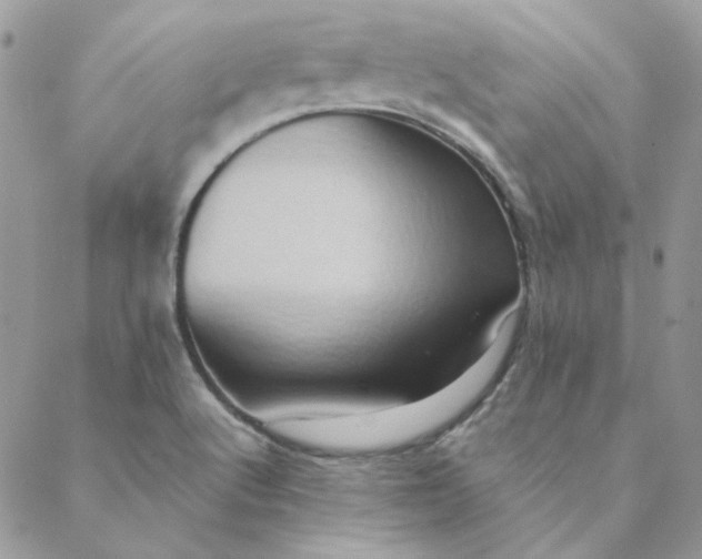 X0000088741512200706141650