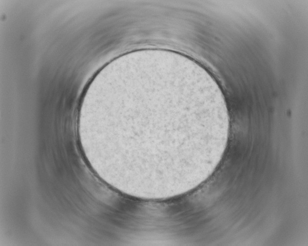 X0000088741514200706141650