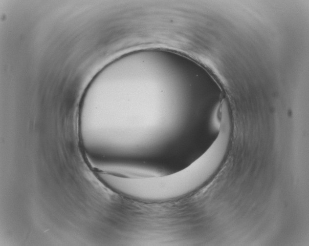X0000088741516200706141650