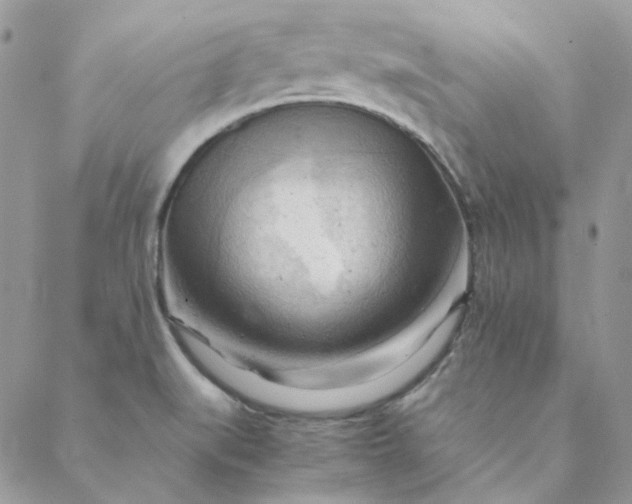X0000088741519200706141650
